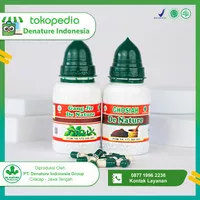 Obat Gonore | Obat Sipilis Raja Singa Gang jie dan Gho siah