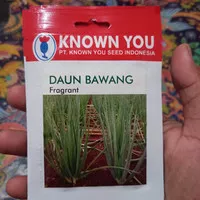 Benih Bibit Daun Bawang Fragrant - Known You Seed
