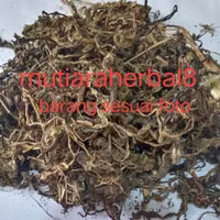 Pu Gong Ying 100gr - Teh Dandelion Herbal Tea