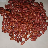 KACANG MERAH 1 KG