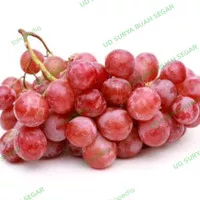 buah anggur merah 1kg