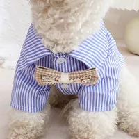 Ho young stripe shirt with bow