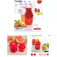 Tupperware JUIST Juicer