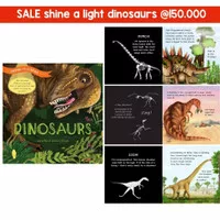 Shine a light dinosaur story book dinosaurus