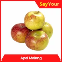 apel malang 1kg