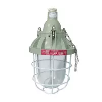 Lampu Gantung Anti Ledak Explosion Proof Pendant Light LED 50W BCD-50