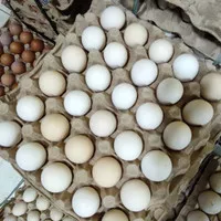 Telur Ayam Kampung / T.Arab 30 Btr