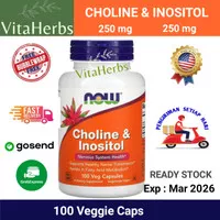 Now Choline Inositol 500 mg 100 Capsules kesuburan dan PCOS support