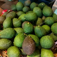 Alpukat hass avocado lokal super 1 kg