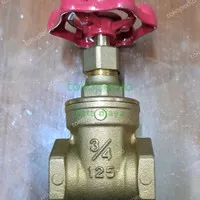 gate valve kitz 3/4 inch original