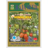 Benih Tomat F1 Himalaya isi 10gr - Raja Seed