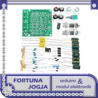 DIY Tube Preamplifier Buffer 6J1 AC 12V Audio Preamp Tabung + Casing