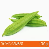 Oyong / Gambas Segar 1 kg - Sayur Lokal