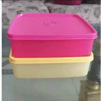 tupperware large square away