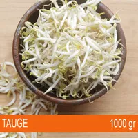 Kecambah Toge Tauge Segar 1 kg - Sayur Lokal