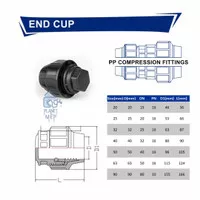 End Cap HDPE 20mm 1/2 inch Dop Compression Fitting
