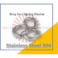 M4, M5, M6 Ring Per SS 304 Spring Washer M4 M5 M6 Stainless Steel