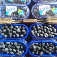 Blueberry Blueberries Australia Super Jumbo 200 gr / pack premium