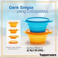 go flex tupperware / mangkuk lipat elastis