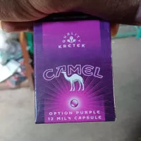 camel 12 ungu