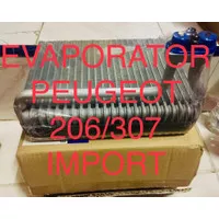 evaporator peugeot 206 dan 307 import