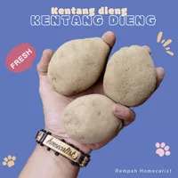 kentang dieng 1 kg sayur bahan masakan segar