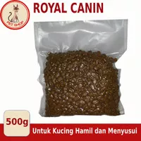 Royal Canin Pro Queen~Makanan Kucing Hamil Royal Canin Pro Queen 500g
