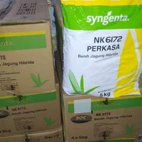 bibit jagung hibrida nk perkasa 6172 kemasan 5 kg