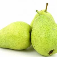 pear jambu, pear, buah pear jambu, buah, pear packham hijau