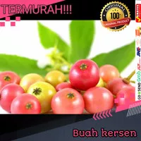 buah kersen buah cheri kersen fresh box 10 buah