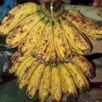 pisang barangan medan