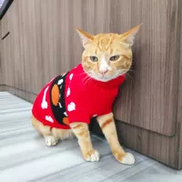 Pet cat dog sweater baju hangat rajut anjing kucing size 4 6 8