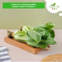 Pakcoy Hidroponik 200 Gram Fresh Bok Choy Pakchoy Sayur Hydro Segar