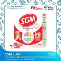 SGM LLM