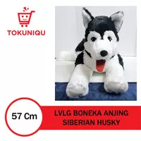 Boneka Anjing Siberian Husky Lucu Lembut Soft Jumbo LVLG 57 cm