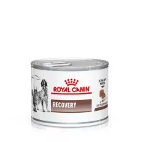 Royal Canin vet recovery 195gr kaleng