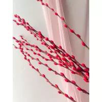 Pussy Willow termurah Red (READY STOCK) 5ft