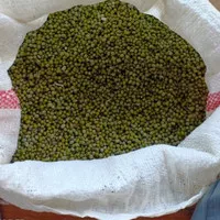 kacang hijau,1kg