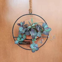 Plant Stand Hanger - Rak Besi Gantung Gantungan Pot - Bulat