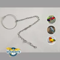 Premium Rantai Kaki Burung Small Parrot 1.2mm Sun Conure Betet Nuri