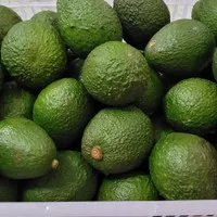 Alpukat Hass lokal / Hass Avocado per kg