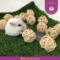 Hamster Rattan Ball Natural | Gigitan Rotan Bola Mini Kecil | Chew Toy