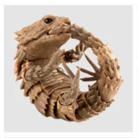 Armadillo lizard (non rare) dango mushi 07 Gacha Gashapon dangomushi