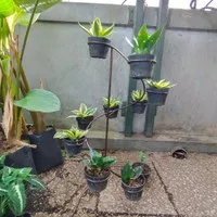 Rak besi kaktus 10 pot, pot 10 ~ 13, gojek, paket ok, rak besi kuat