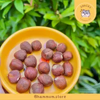 Hazelnut Snack Hamster | Makanan Hamster | Chew Toy Hamster Natural