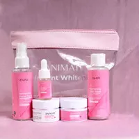 Paket Animate Instant Whitening Series 5in1 Cream Perawatan Face Care