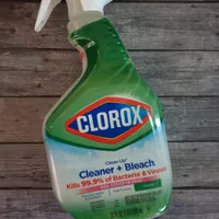 Clorox Clean Up Cleaner dan Bleach USA Singapore