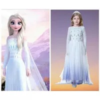 Baju Frozen Dress Frozen Kostum Princess Elsa Kostum Frozen Baju Anak