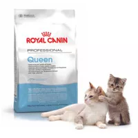 royal canin queen 400gr makanan kucing hamil menyusui