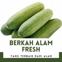 TIMUN LALAP, TIMUN BABY, TIMUN KECIL, TIMUN MINI, MENTIMUN FRESH